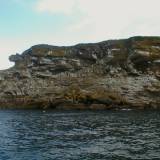 d9 Bird Rock, Cabot Strait. You'll have to trust me all those dots are murres, gulls, shags and puffins
